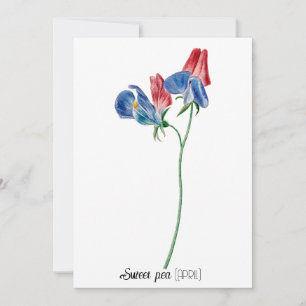 Carte De Correspondance Date de naissance Fleur Pois doux (avril)