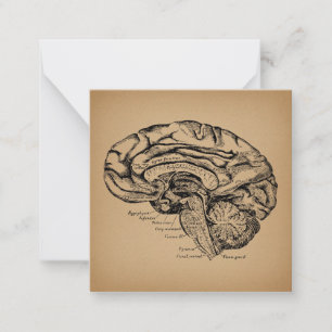Carte De Correspondance Diagramme de cerveau vintage Art d'anatomie médica