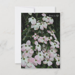 Carte De Correspondance Dogwood