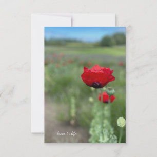 Carte De Correspondance Dreamy Red Poppy
