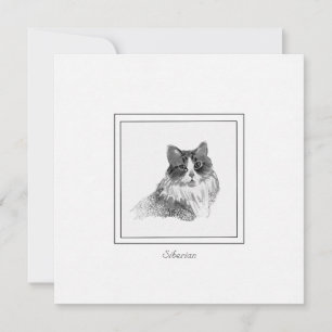 Carte De Correspondance Elégant croquis de chat en Sibérie au charbon de b