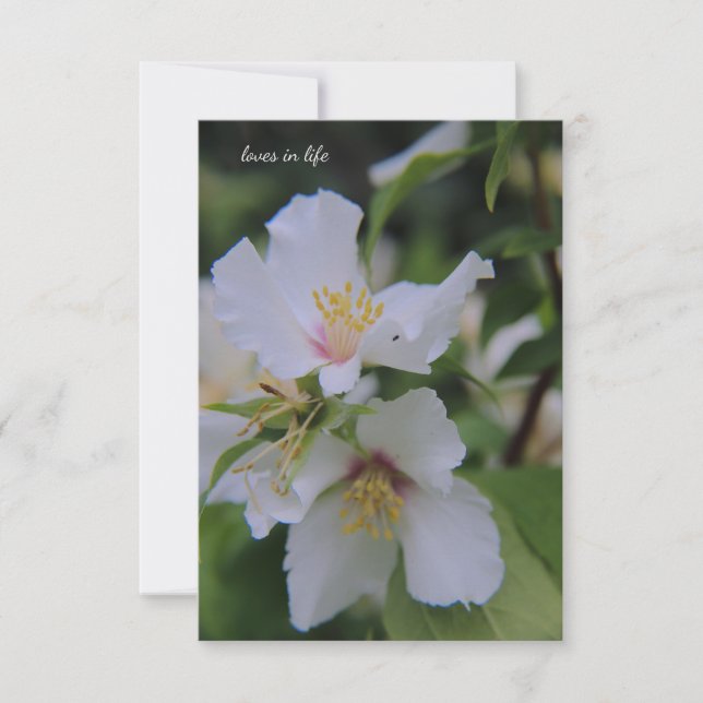 Carte De Correspondance Fausse Fleur orange (Devant)