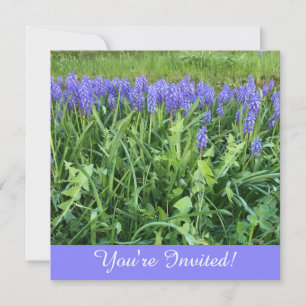 Carte De Correspondance Fiche photo Violet Bluebells