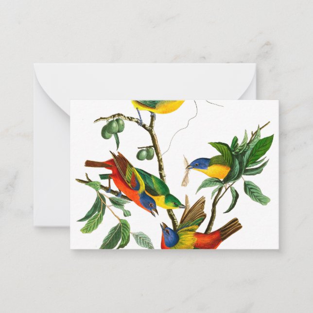 Carte De Correspondance Finche peinte par John James Audubon (Devant)