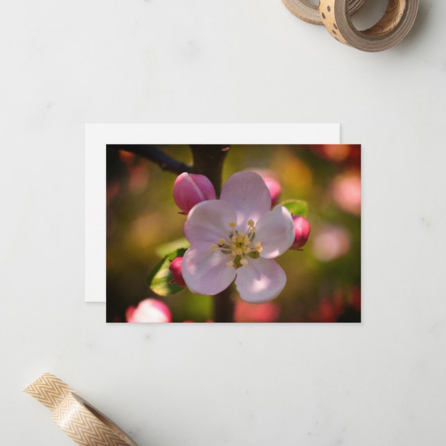 Carte De Correspondance Fleur d'Apple (Devant/Arrière en situation)