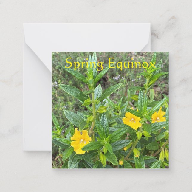 Carte De Correspondance Fleur de singe équinoxe du printemps (Devant)