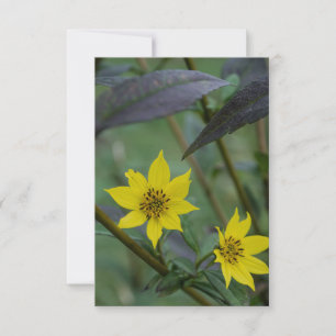 Carte De Correspondance Fleur jaune d'automne