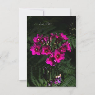Carte De Correspondance Fleur rose foncé avec des fougères