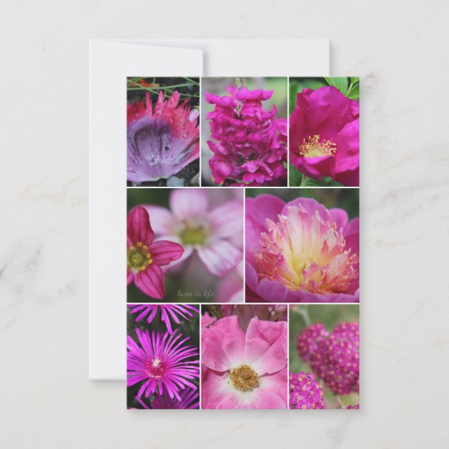Carte De Correspondance Fleur Rose Rose Rose (Devant)