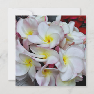 Carte De Correspondance Fleurs de Plumeria aux Bordures Roses – Note de Fl