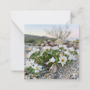 Carte De Correspondance Fleurs du désert