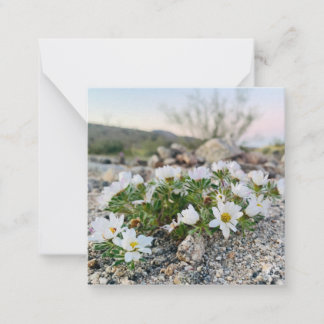 Carte De Correspondance Fleurs du désert