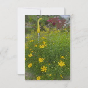 Carte De Correspondance Fleurs Jaunes & Décor Jardin