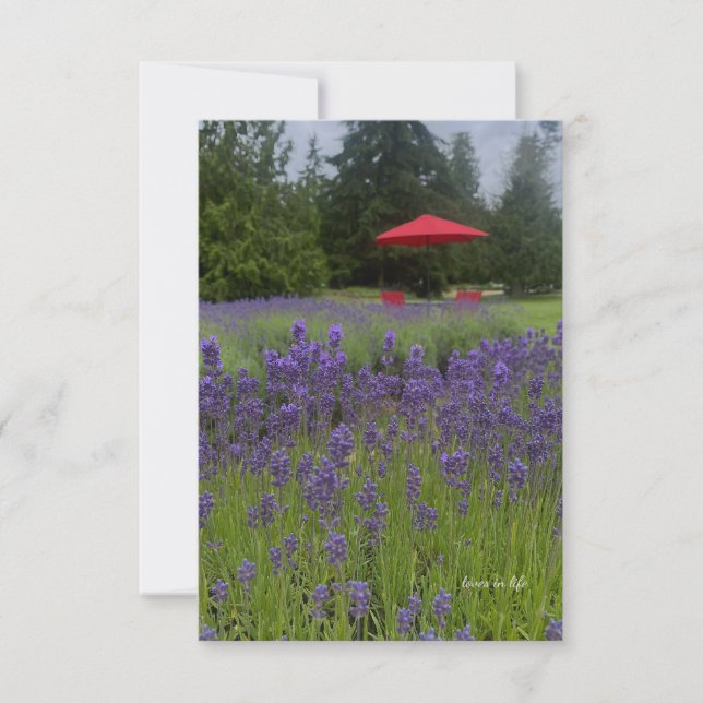 Carte De Correspondance Foggy Day, Lavenders & Red Umrella (Devant)