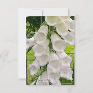 Carte De Correspondance Foxglove blanc
