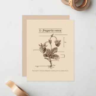 Carte De Correspondance Fraise sauvage Plante Latin Étymologie Nature