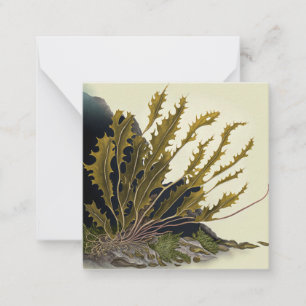 Carte De Correspondance Front de Tidal