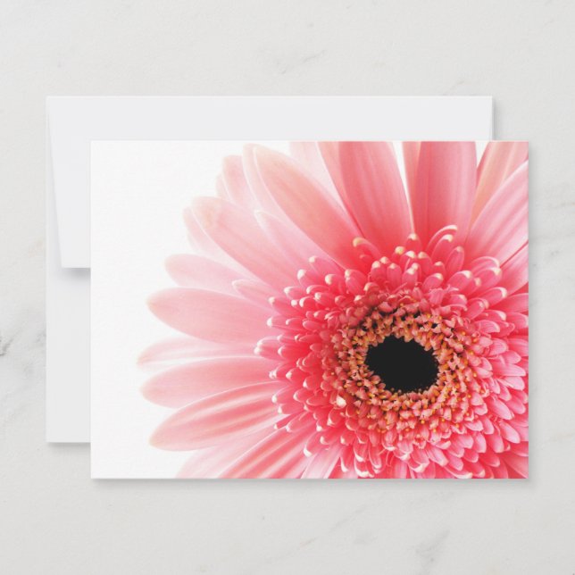 Carte De Correspondance Gerbera Rose Daisy (Devant)