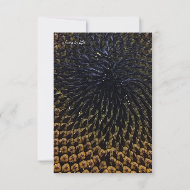 Carte De Correspondance Graines de tournesol noir (Devant)