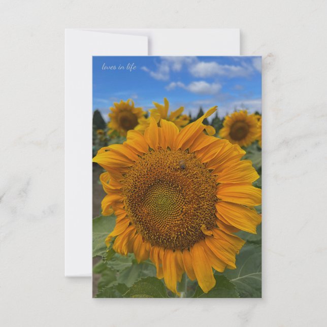 Carte De Correspondance Gros tournesol et ciel bleu (Devant)