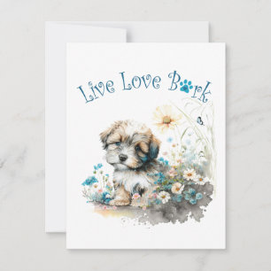 Carte De Correspondance Havanais maman chien floral