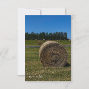 Carte De Correspondance Hay Bales