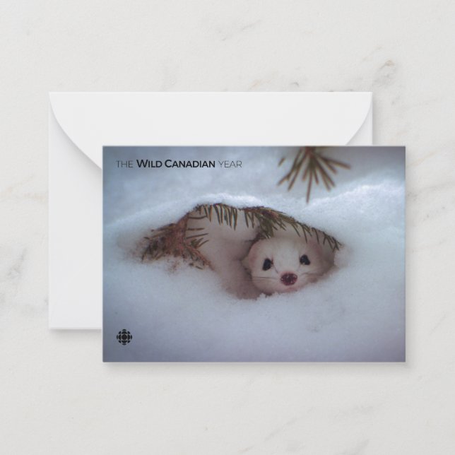 Carte De Correspondance Hiver - Weasel à queue courte (Devant)