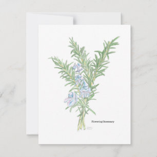 Carte De Correspondance Illustration du romarin à fleurs
