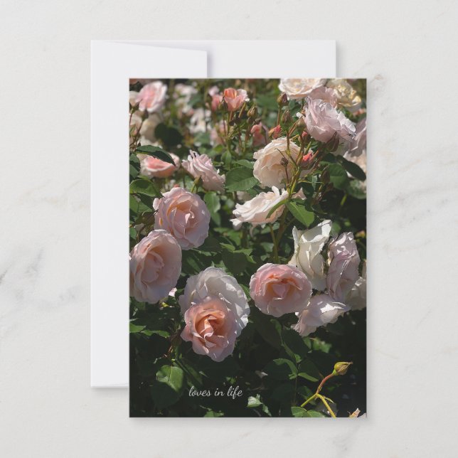 Carte De Correspondance Joli Roses rose pâle (Devant)