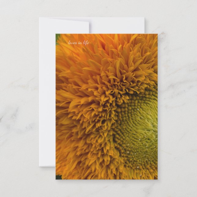 Carte De Correspondance Joli tournesol Au Centre Vert (Devant)