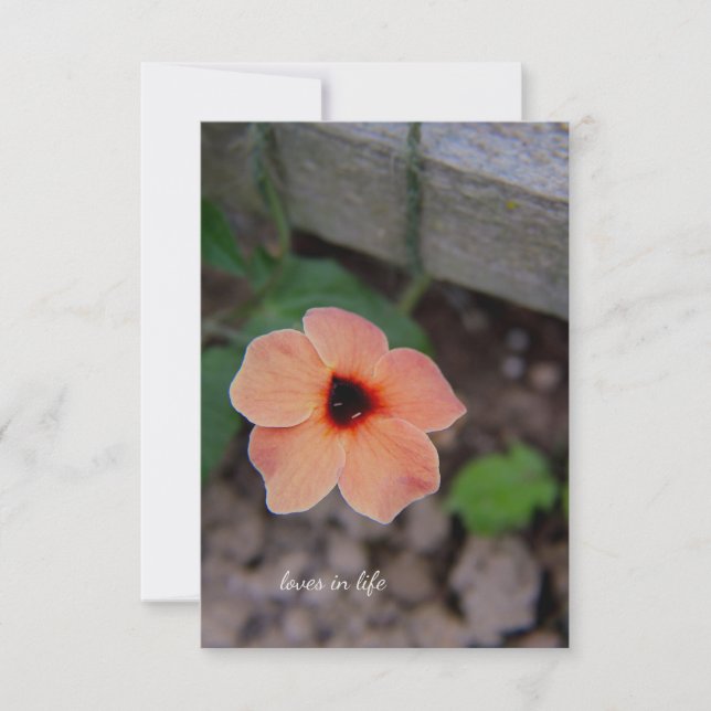 Carte De Correspondance Jolie Fleur Jardin De Pêche (Devant)