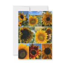 Jours heureux - Collage de tournesol