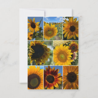 Carte De Correspondance Jours heureux - Collage de tournesol