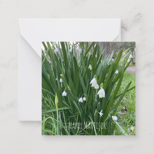 Carte De Correspondance Joyeux Mărțișor ! (Devant)