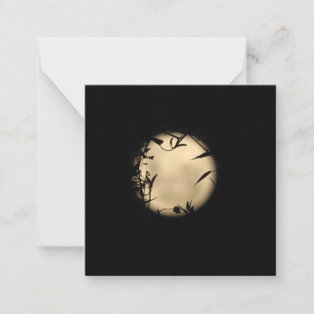 CARTE DE CORRESPONDANCE L'AMOUR AU CLAIR DE LUNE (Devant)