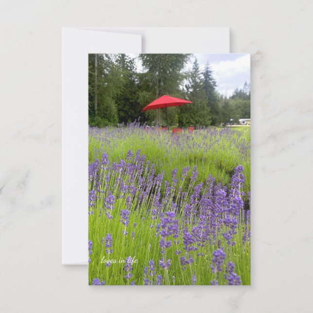 Carte De Correspondance Lavande violette, Parapluie rouge (Devant)