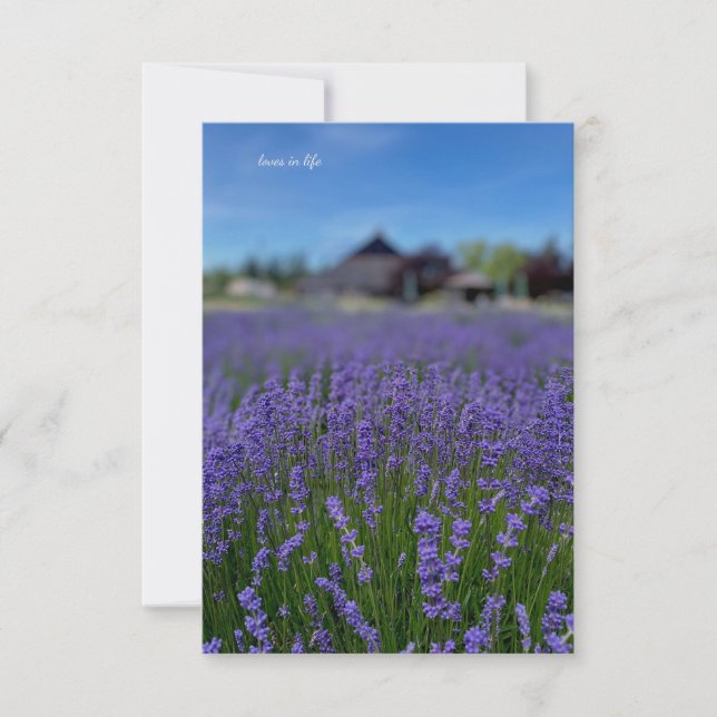Carte De Correspondance Lavender Field & Grange (Devant)