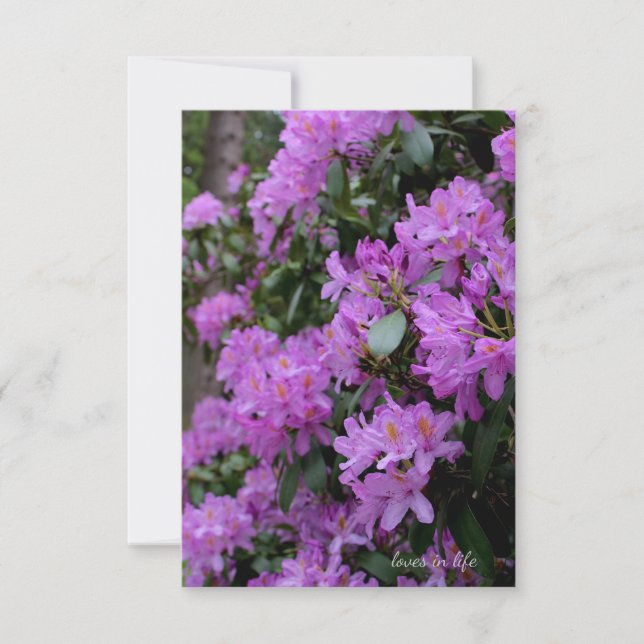 Carte De Correspondance Lavender Rhododendron (Devant)