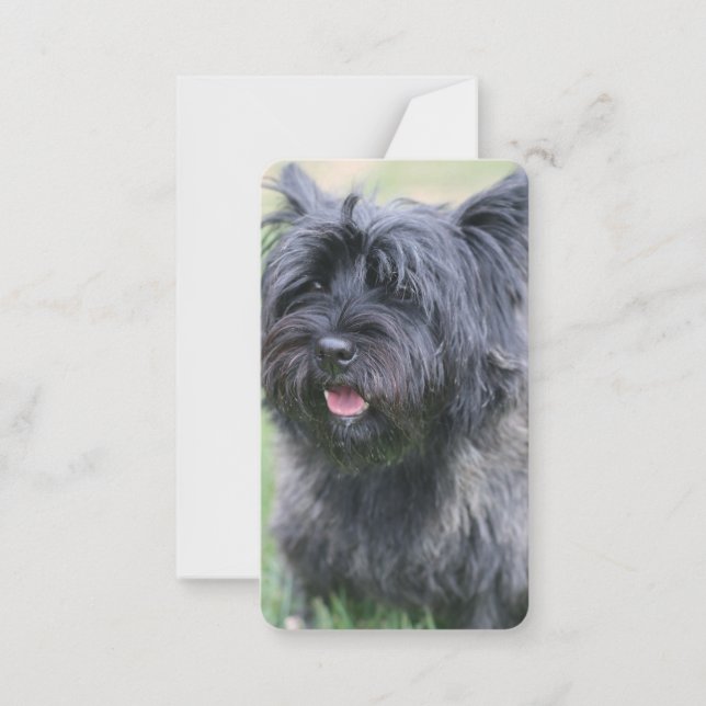 Carte De Correspondance Le Caire (Devant)