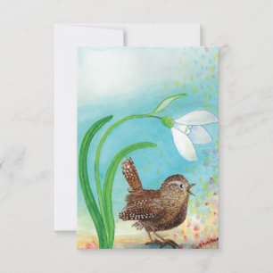 Carte De Correspondance Le Troglodyte chante à l'aube au printemps
