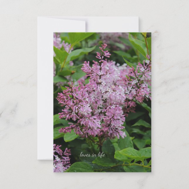 Carte De Correspondance Lovely Lilac (Devant)