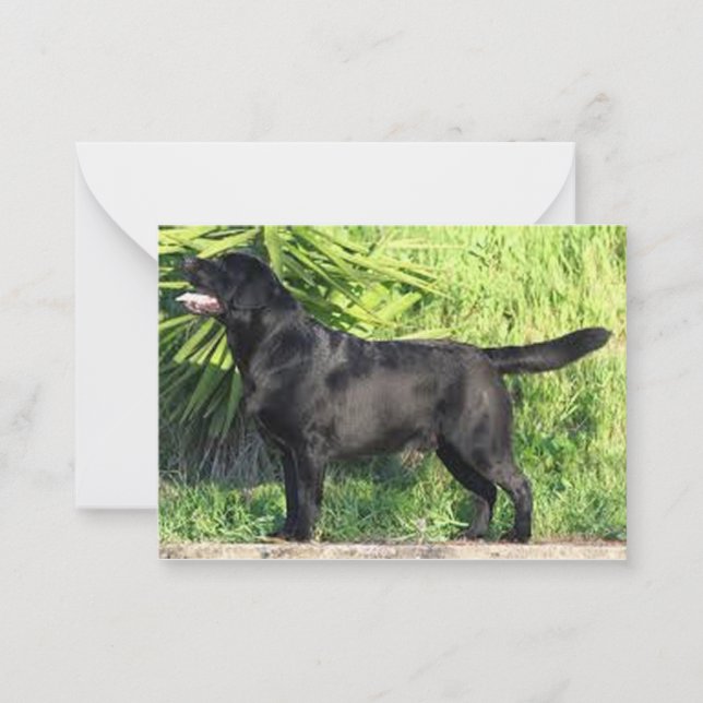 Carte De Correspondance LR noir complet (Devant)
