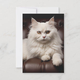 Carte De Correspondance Majestic white cat