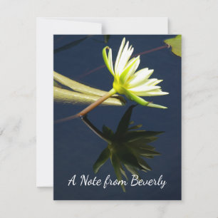 Carte De Correspondance Nénuphar blanc Lotus