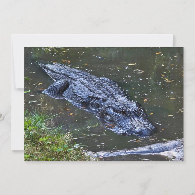 Carte De Correspondance Ombre dans les Hauts-Fonds (Devant)