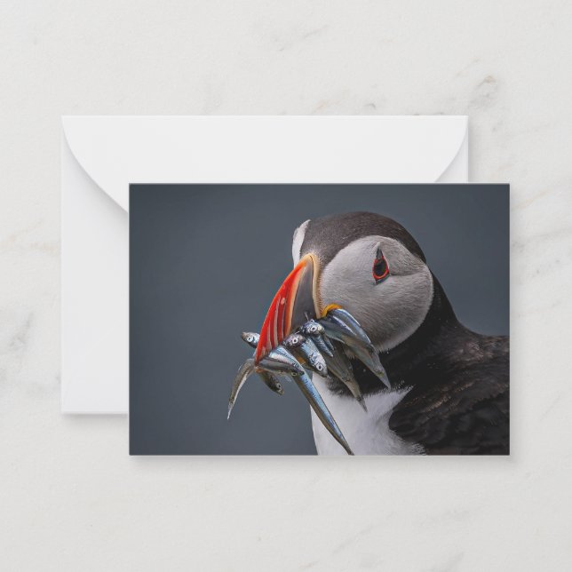 Carte De Correspondance Pêche (Devant)