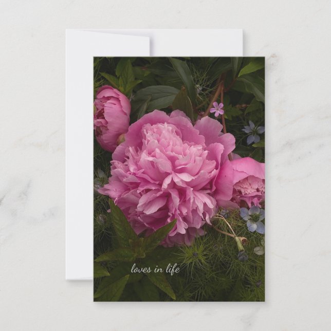 Carte De Correspondance Peine rose et amour dans un brouillard (Devant)