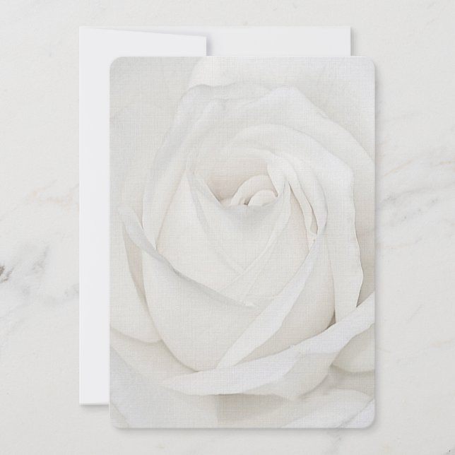 Carte De Correspondance Pétales de rose blanche (Devant)