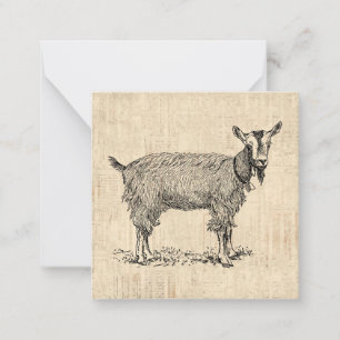 Carte De Correspondance Petit chèvre avec Bell Illustration Script antique