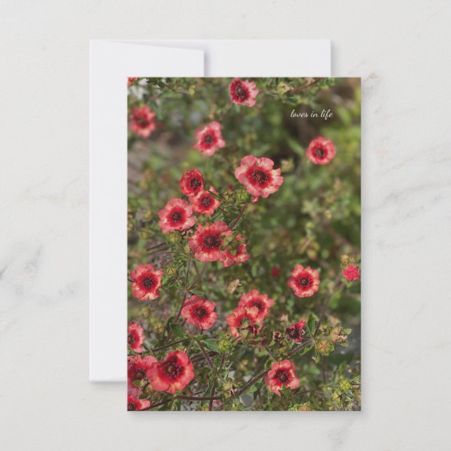 Carte De Correspondance Petites fleurs orange (Devant)
